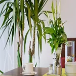 Weinpension Haberkern Hotel Erlenbach (Heilbronn)